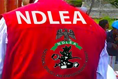 Back view of an National Drug Law Enforcement Agency (NDLEA) vest, worn by an officer